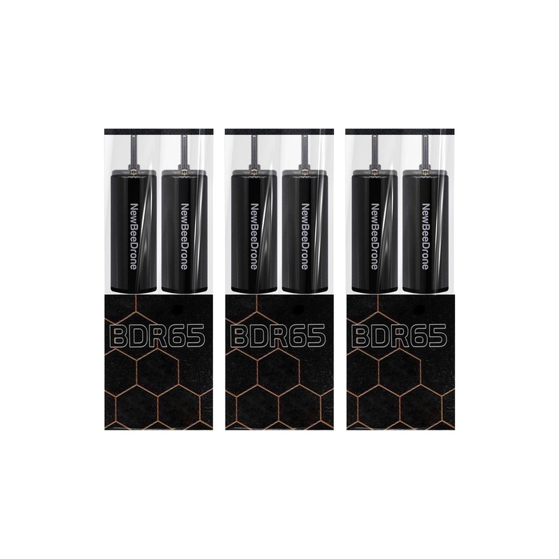 NewBeeDrone BDR BLACK Edition – 6mm Brushed Motor