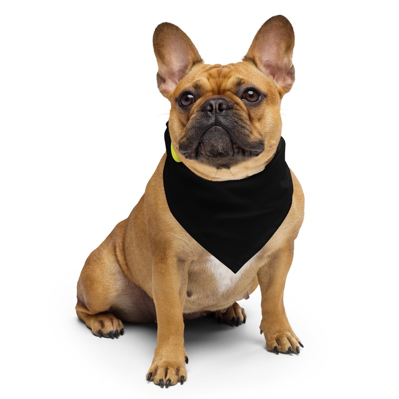 WREKD Visual Observer Bandana!