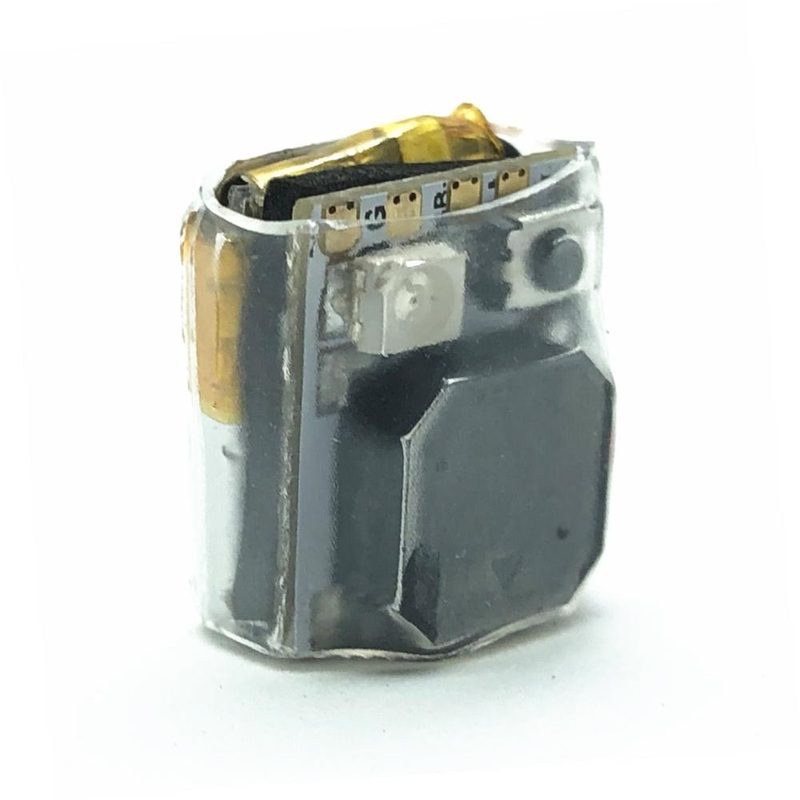 Fullspeed RC Lucky Box Buzzer