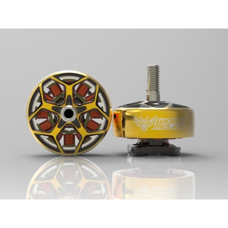 RCINPOWER WASP MAJOR 22.6-6.5 – (Gold)