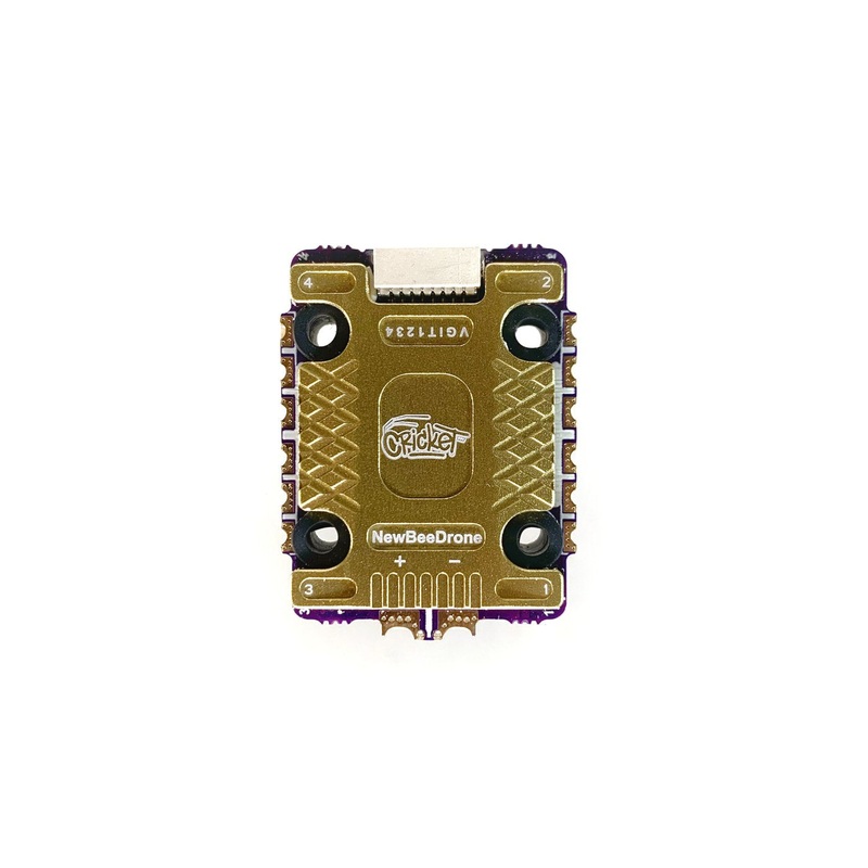 NewBeeDrone Cricket200 ESC 45A BLHeli32 – 20x20mm