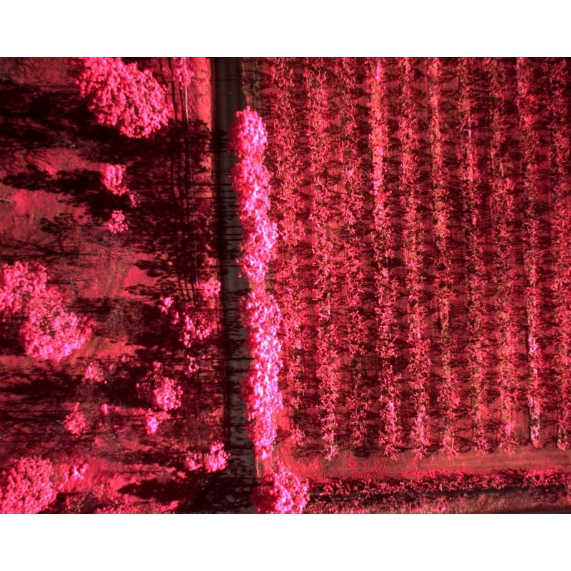 Training – Multispectral Mapping & Post Processing
